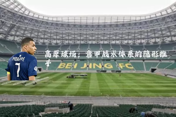 高原球场:意甲战术体系的隐形推手